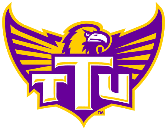 Tennessee Tech Golden Eagles 2006-Pres Alternate Logo t shirts iron on transfers